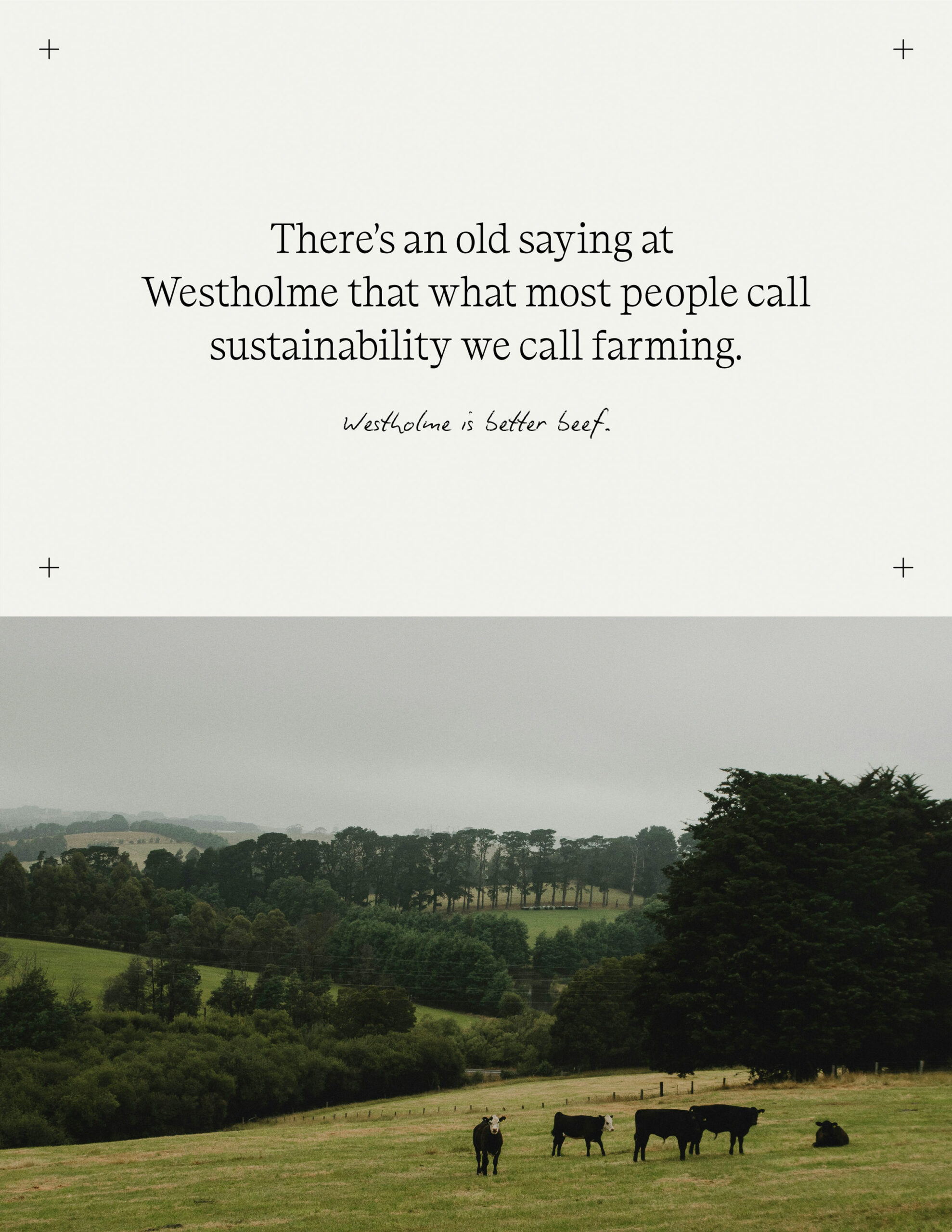 WestholmeBrandingDesign_HalfWidth_CoriCorinne05